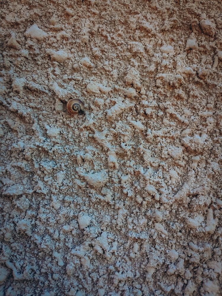 Photograph by Анастасия Дынина