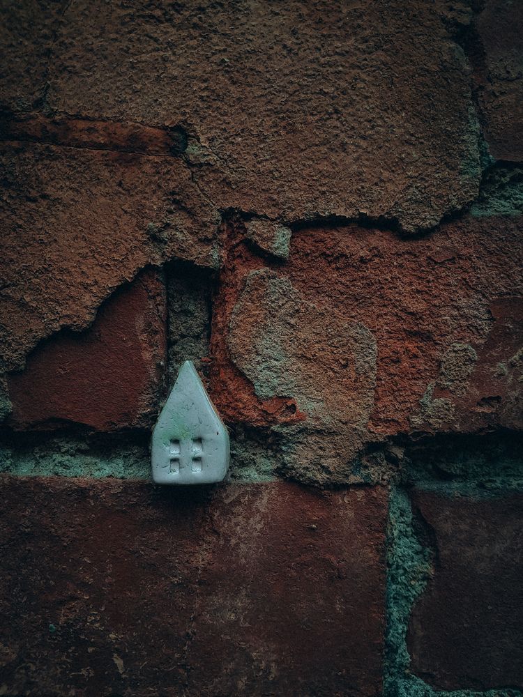 Photograph by Анастасия Дынина