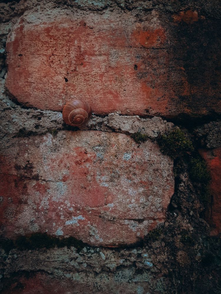 Photograph by Анастасия Дынина