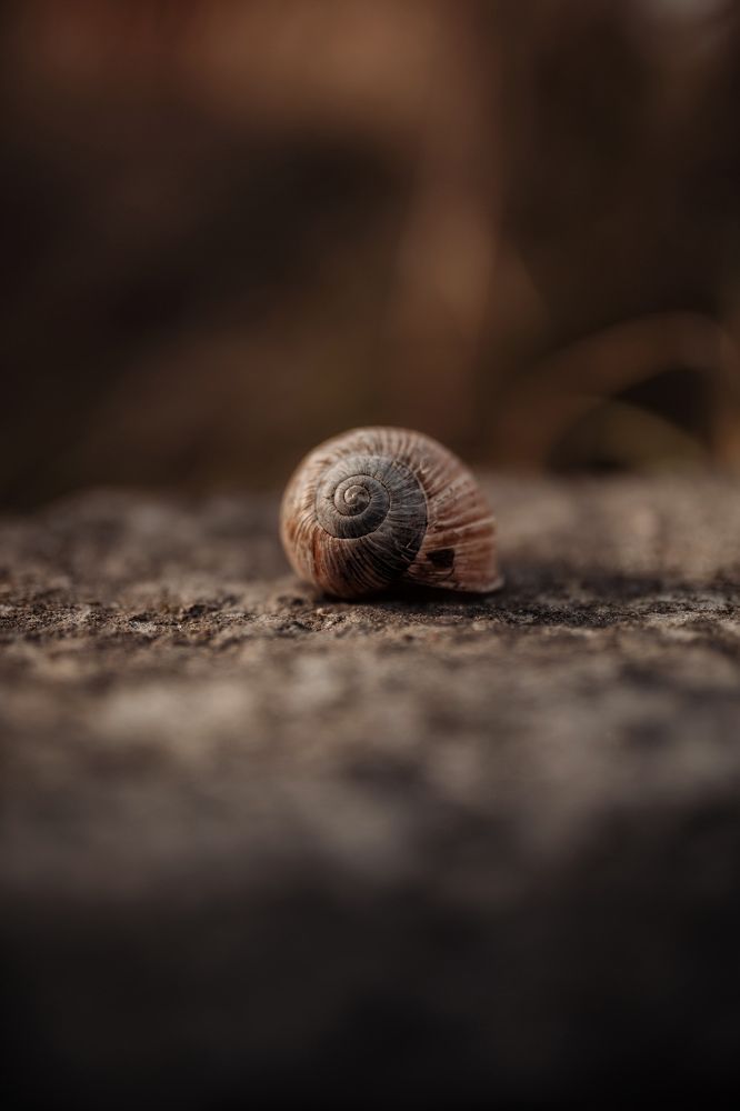 Photograph by Раков Виктор