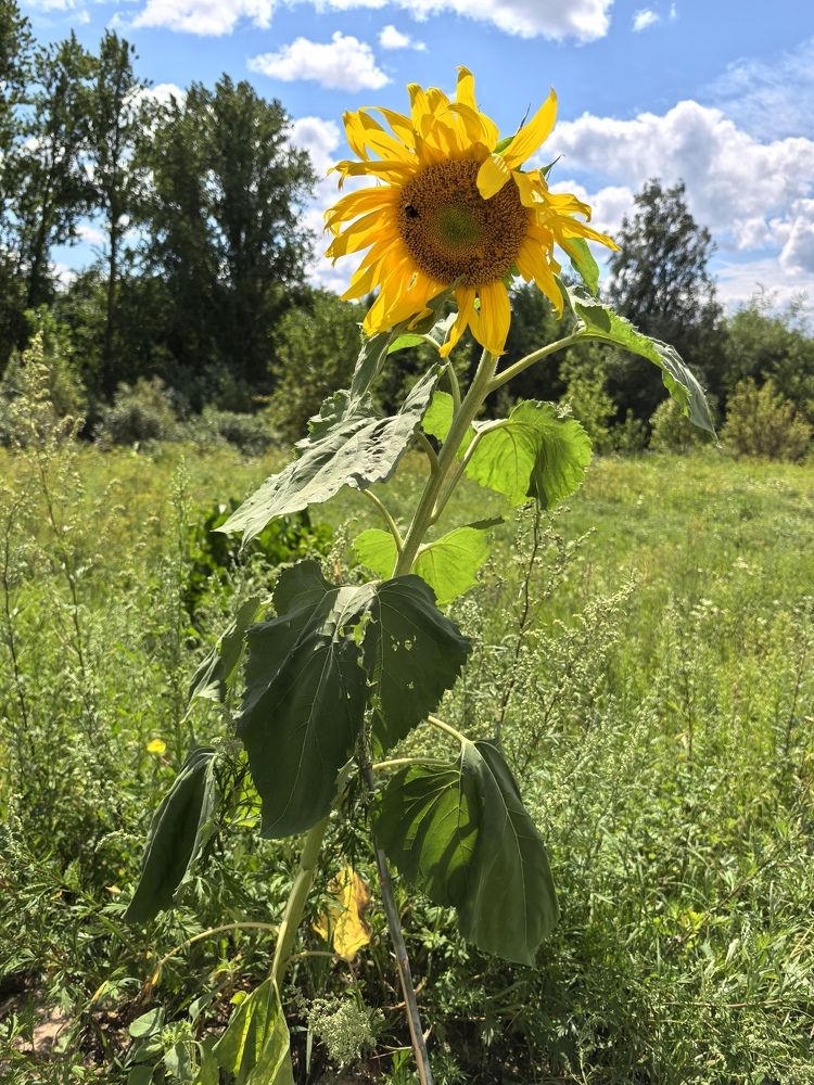 Фотография автора Александр Сипаров