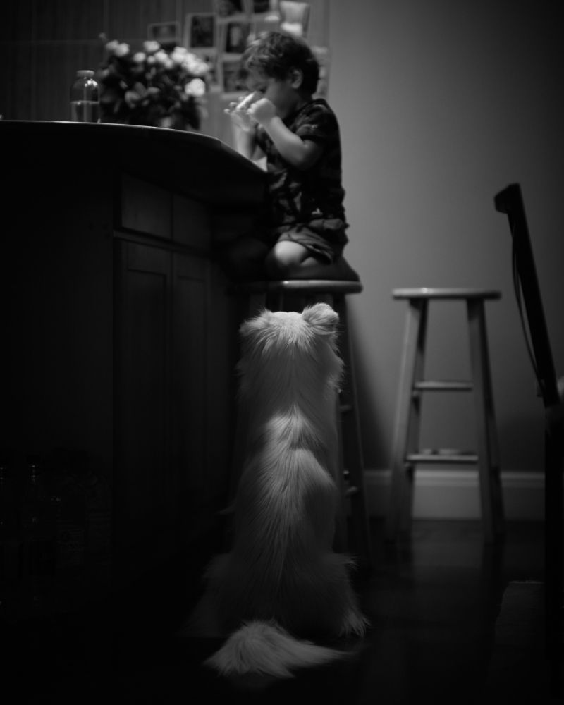 Фотография автора Владимир Эделев