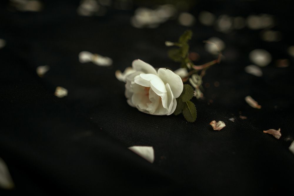 Photograph by Раков Виктор