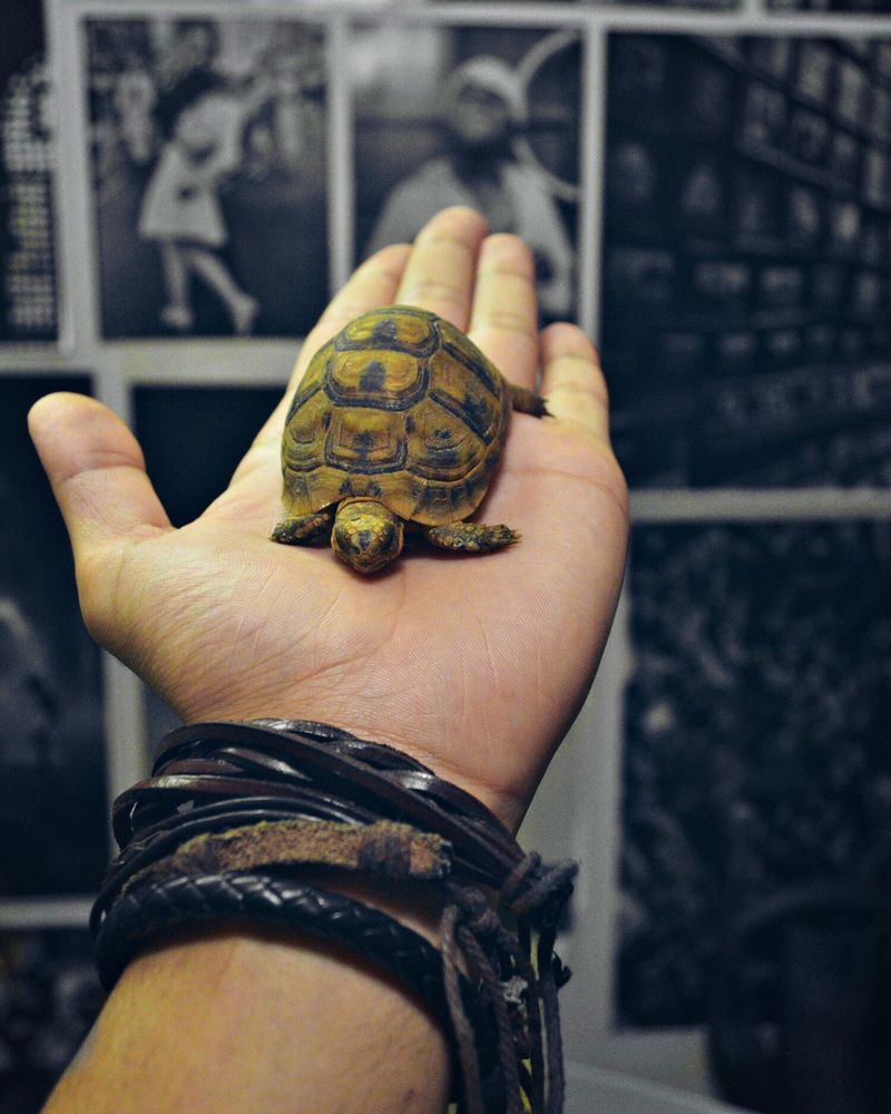 Photograph by Eslam Ahmed