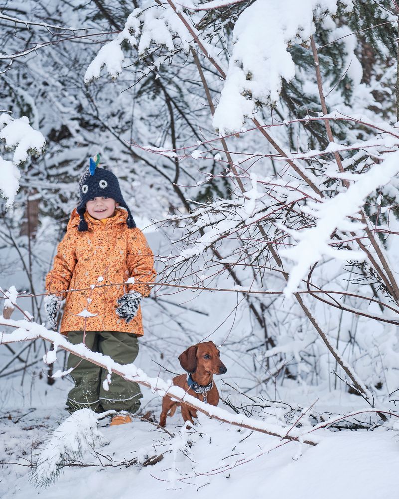 Фотография автора Владимир Эделев