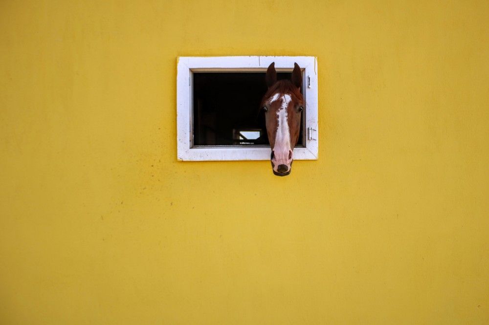 Photograph by volkan akan