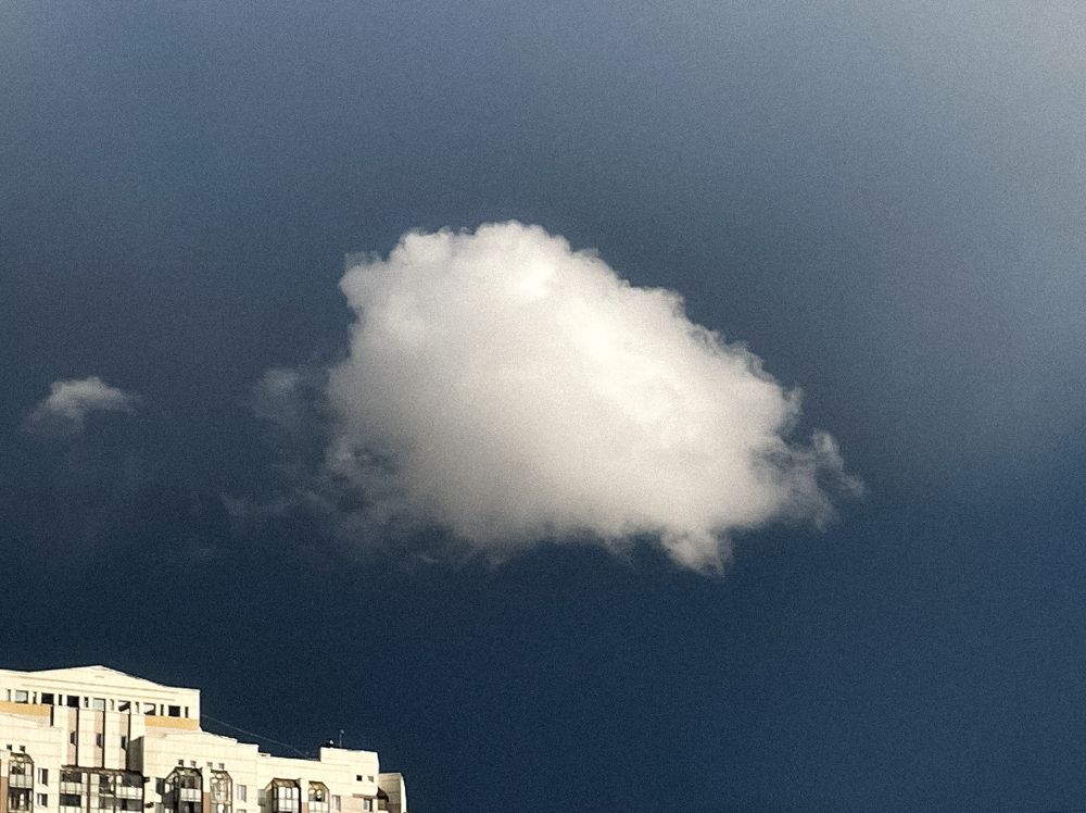 Photograph by Дарья