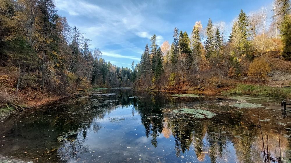 Photograph by елена