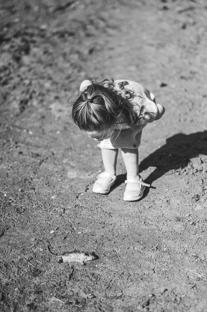 Photograph by Елена Март