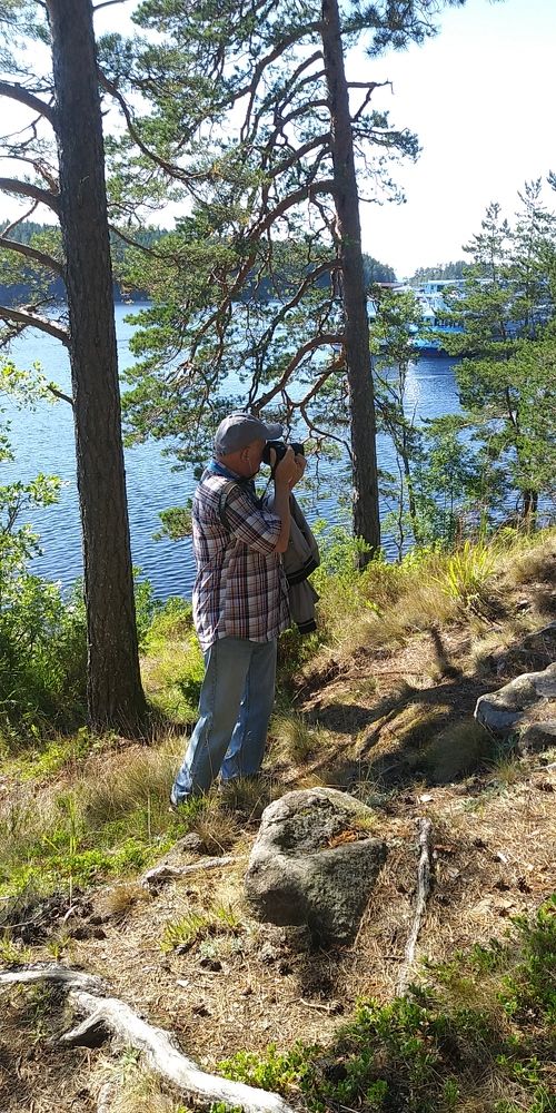 Photo #11356600