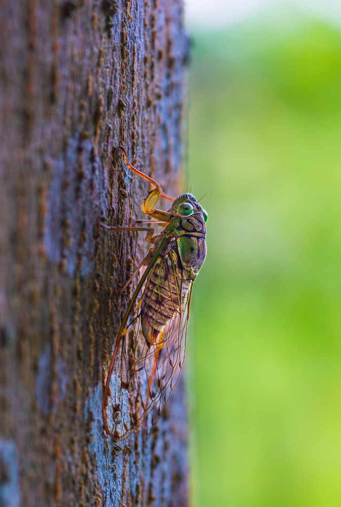 Photograph by Duc Nguyen