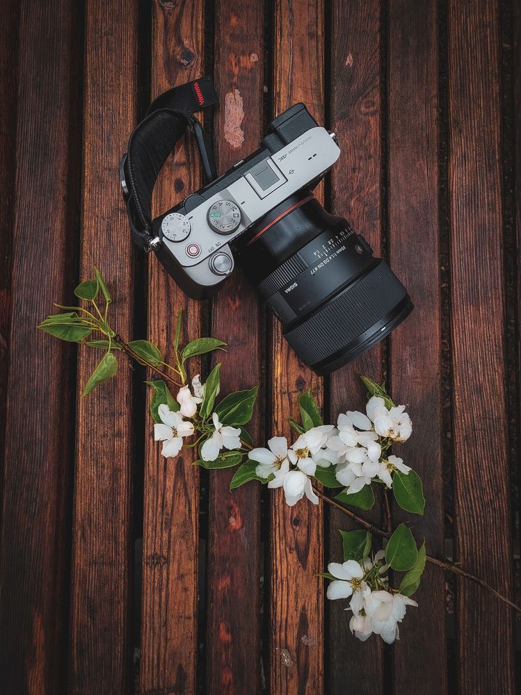 Photograph by Angelina Bukina