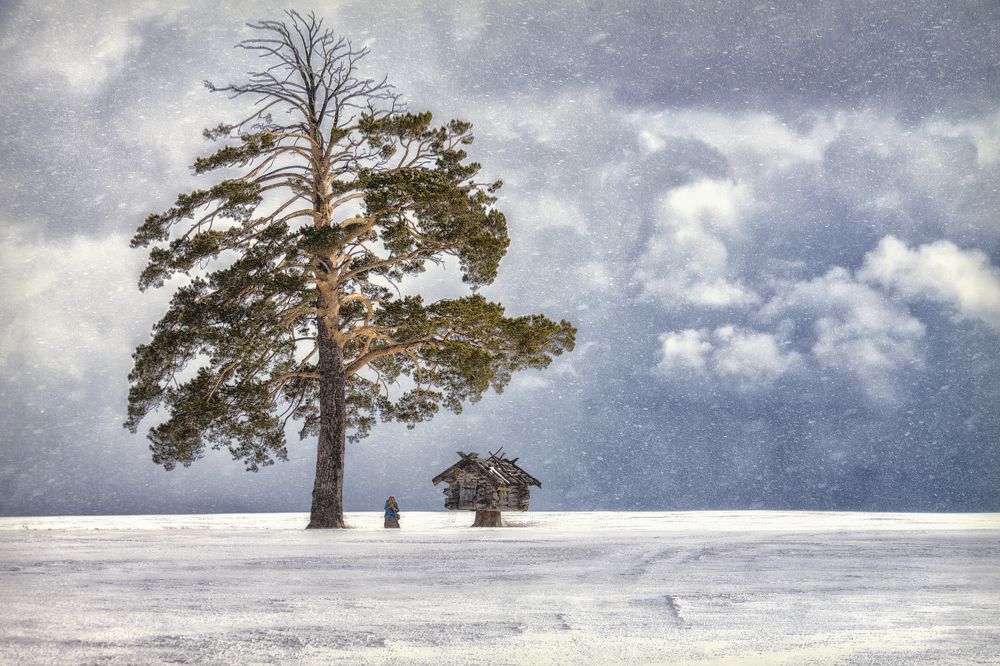 Photograph by Марина Юдинских