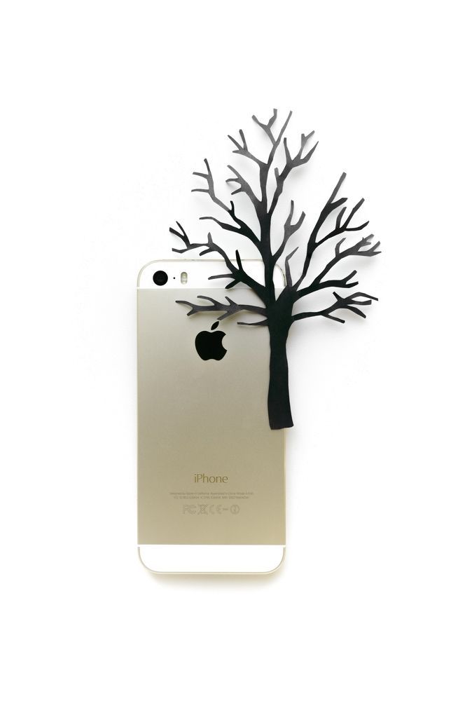 Photograph by Анастасия Бабенко