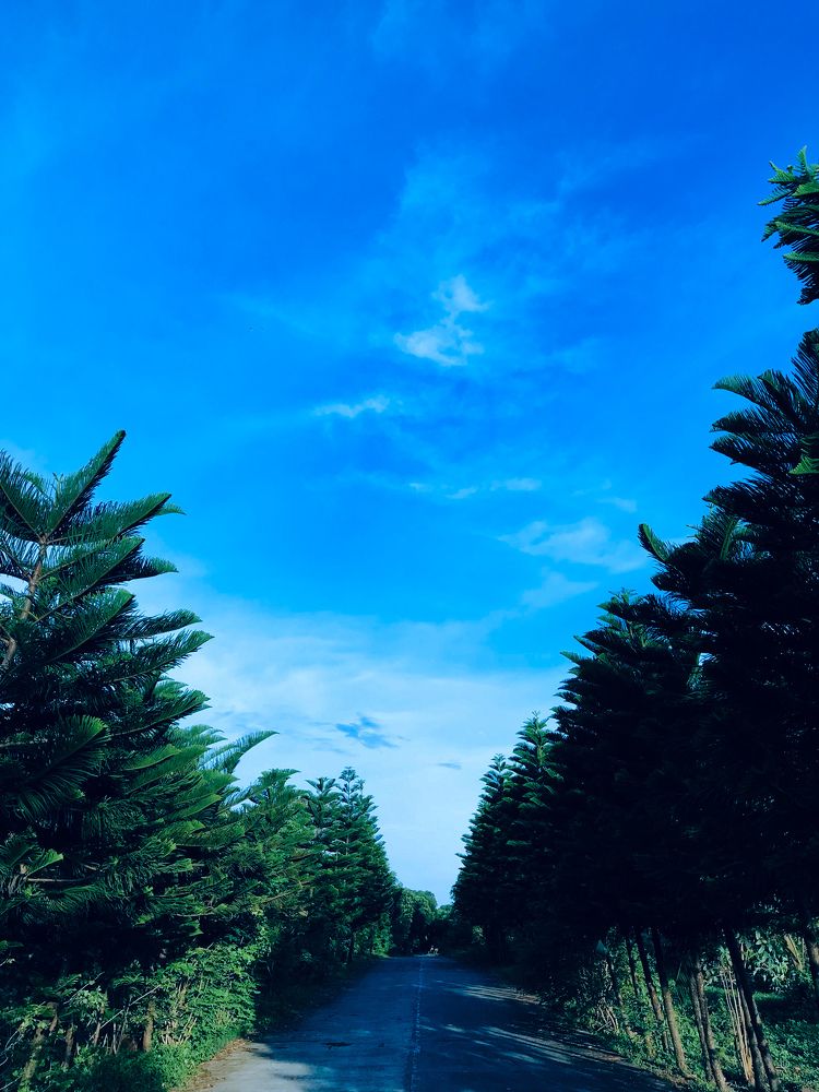 Photograph by Sr. Ma. Jenny Mhy-sy Yasa