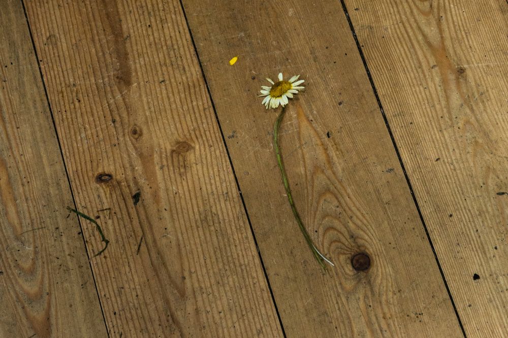 Photograph by Бахтадзе Дмитрий