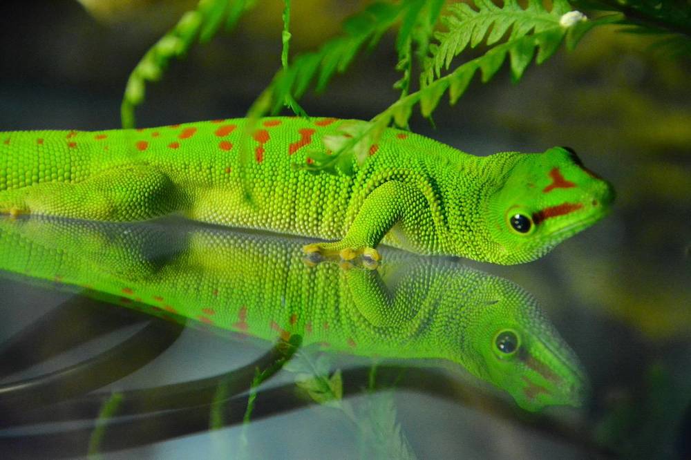 Photograph by Анастасия Смирнова