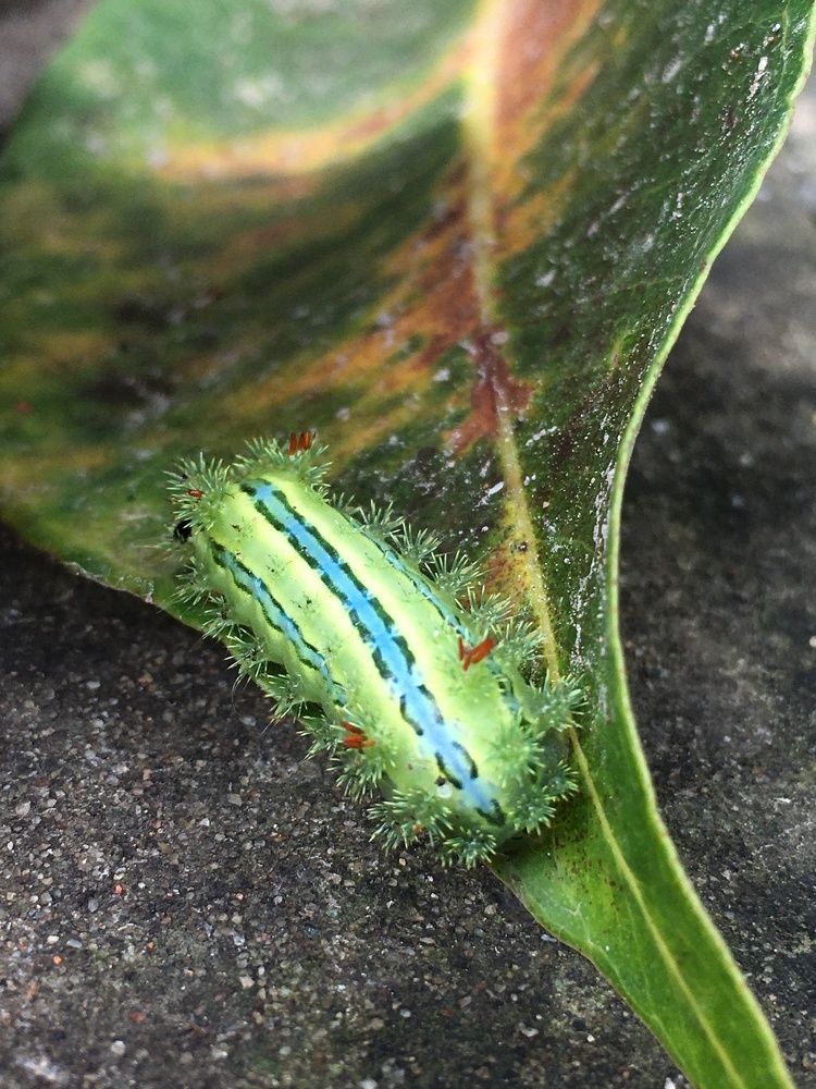 Photograph by Sharad vadoliya