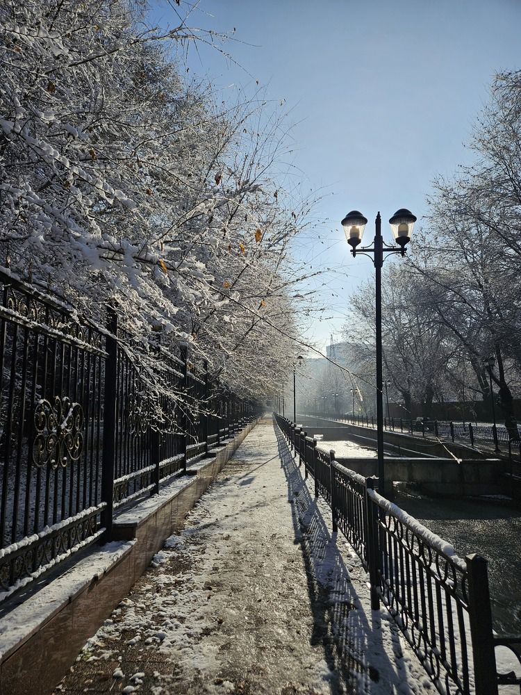 Photograph by Эльвира