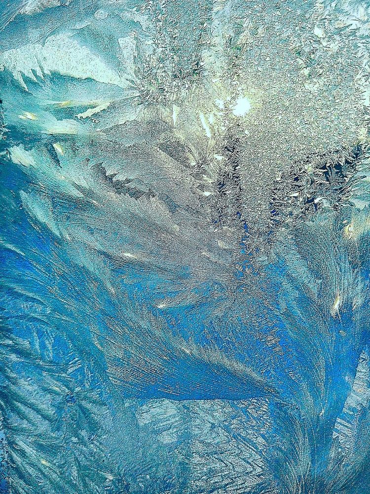 Photograph by София Бояринцева