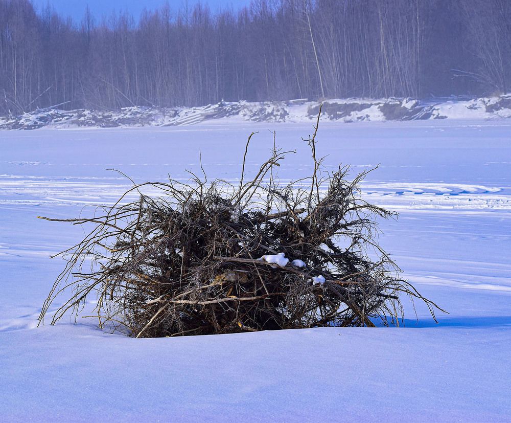 Замерзший корень