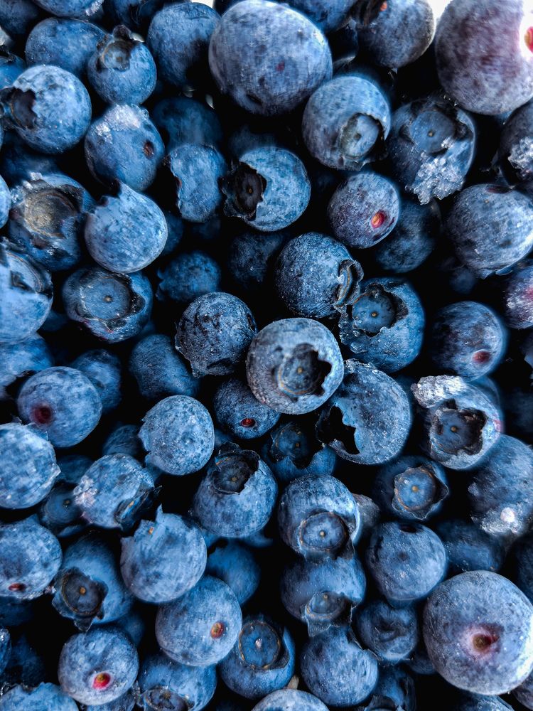 Фотография автора Ольга Шишук