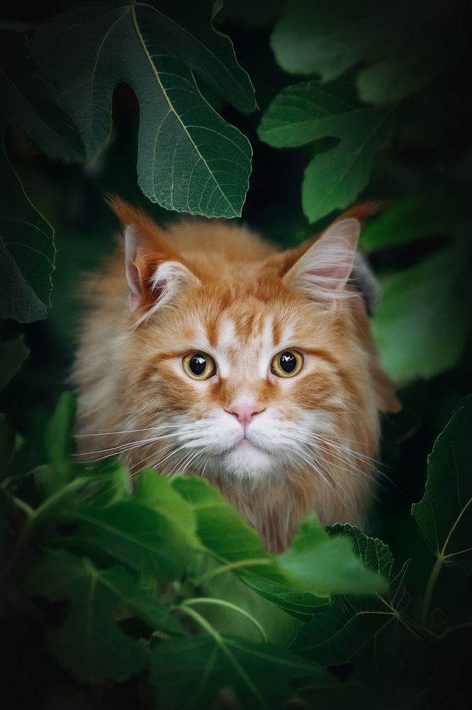 Photograph by Андрианова Ирина