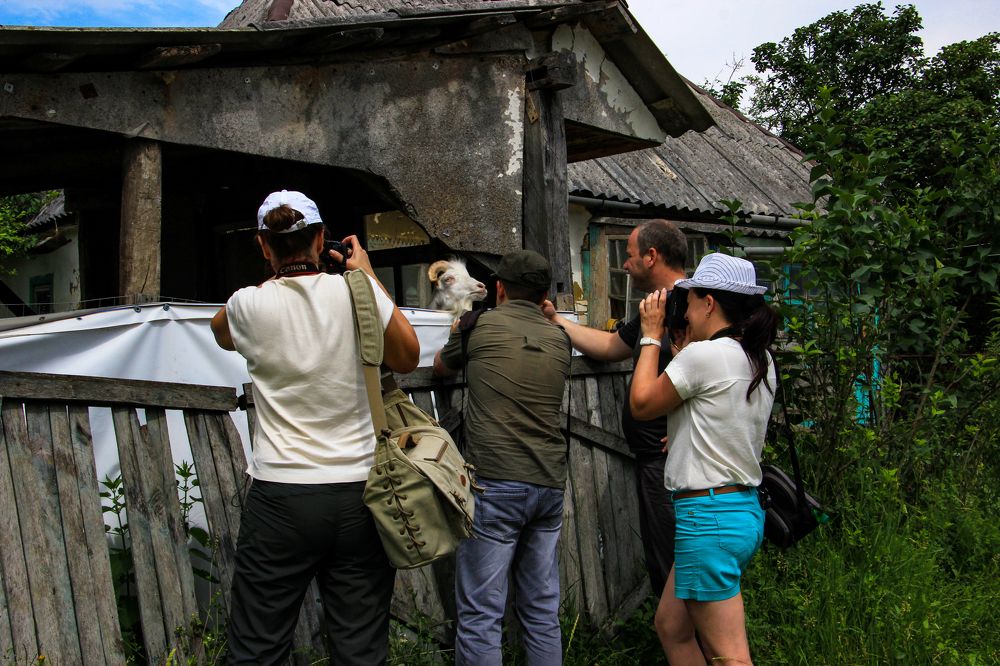 Фотография автора Татьяна Сергиенко