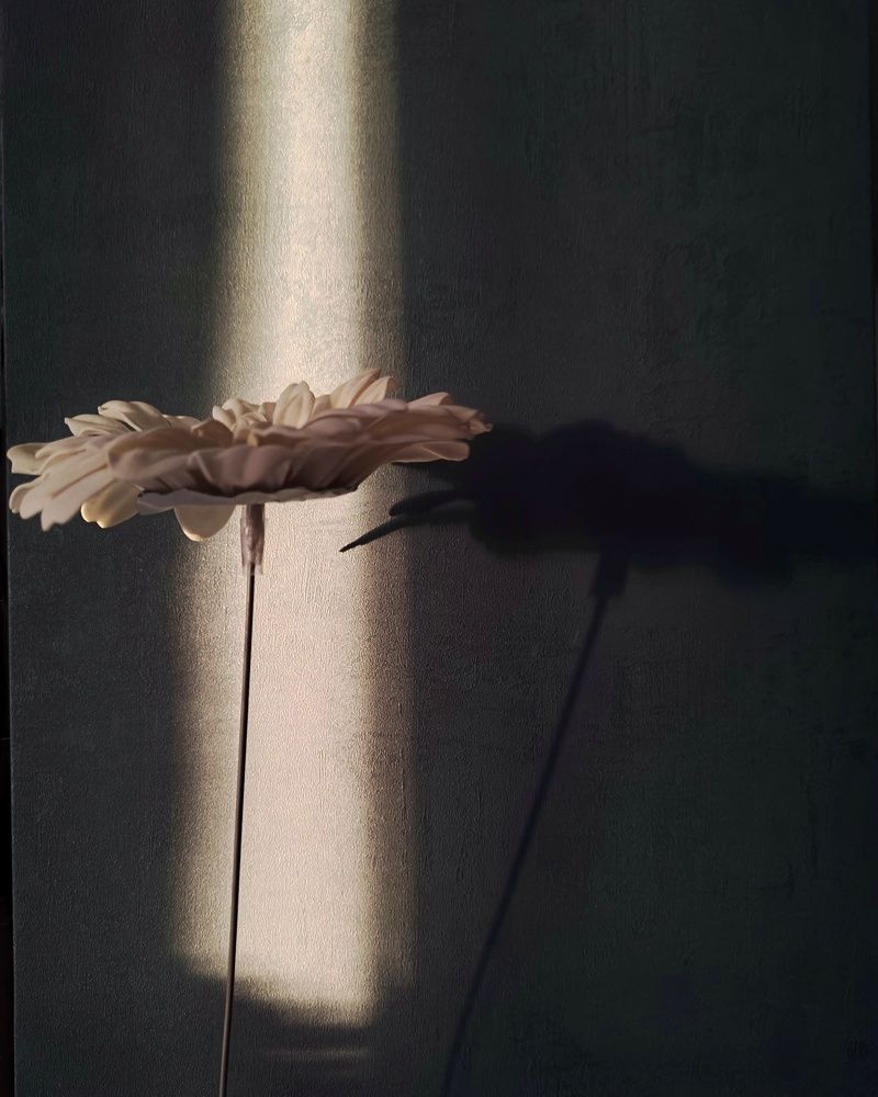 Photograph by Наталья Адалинская