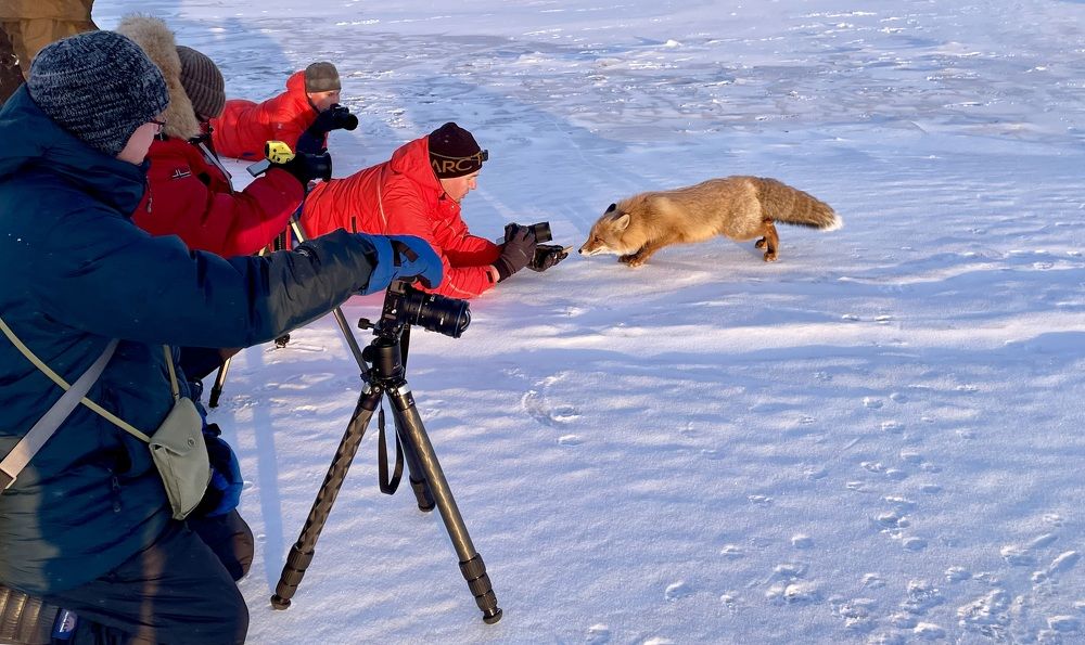 Photograph by Людмила Белякова