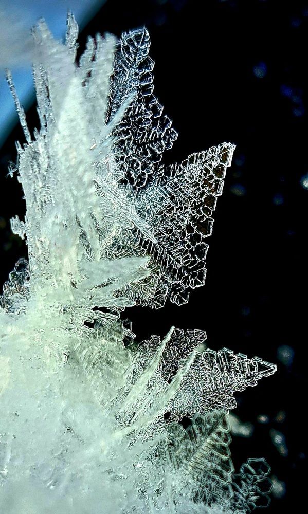 Photograph by Галина Перепечаева