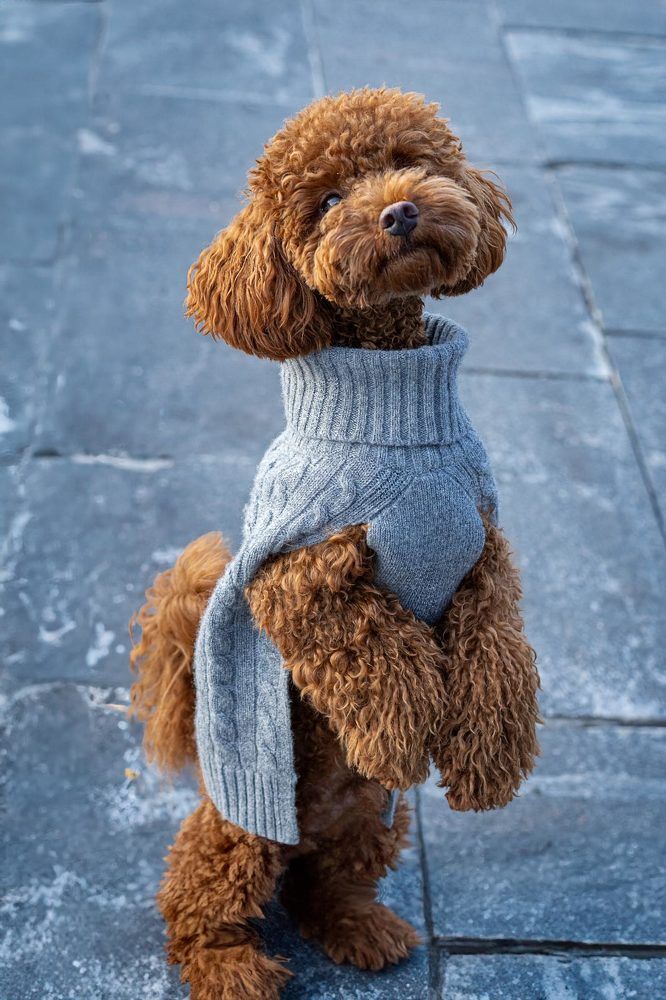 Photograph by Irina Ostapenko (Nepavlova)