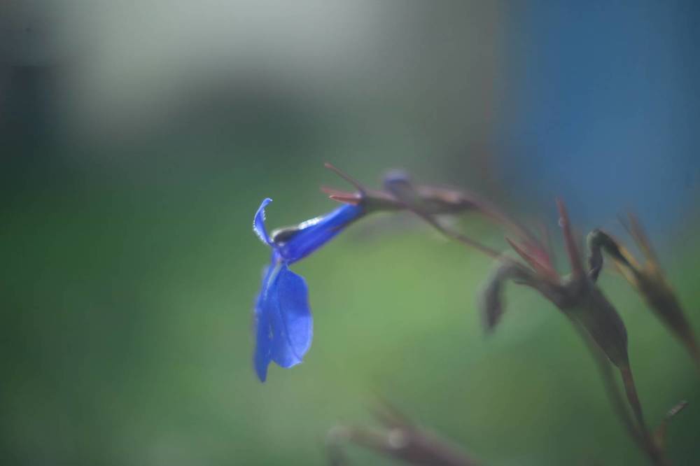 Photograph by Елена Змейкова