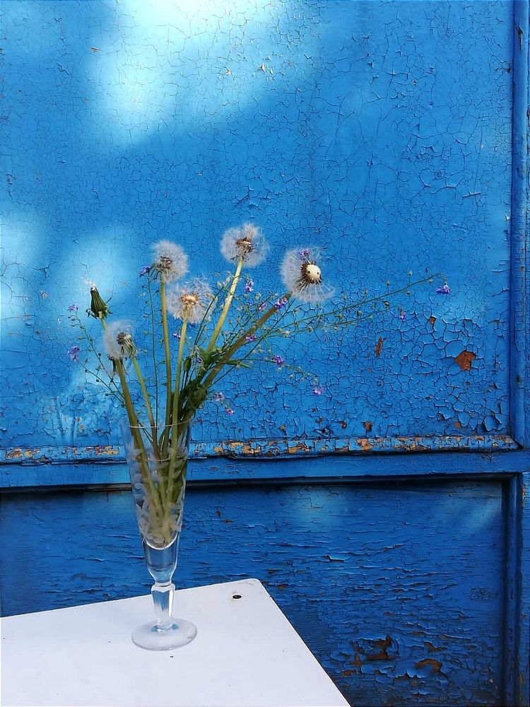 Photograph by Galina Novichkova