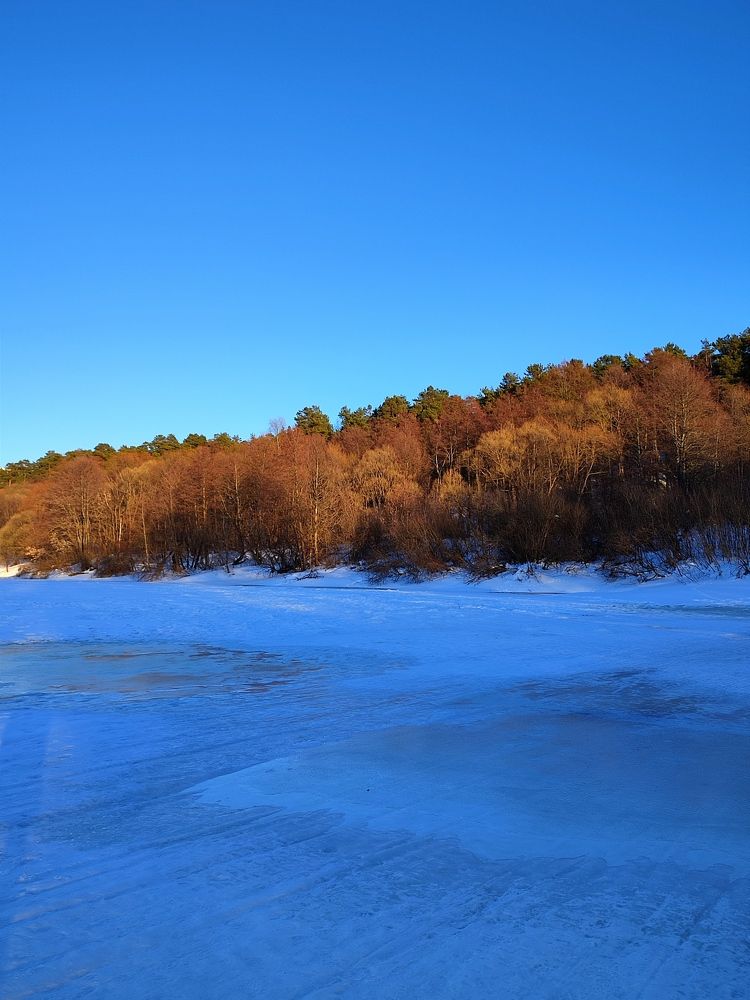 Photograph by Galina Novichkova