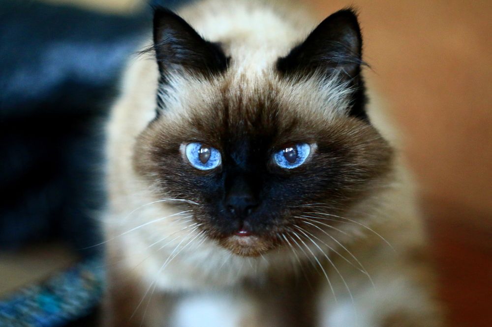 Photograph by Леонид Уральский