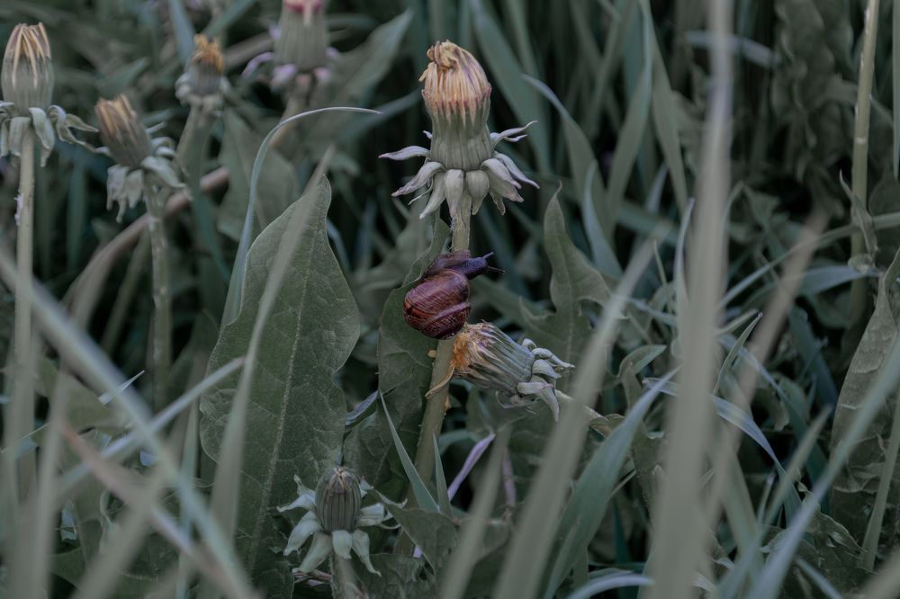 Photograph by Глеб Обуховский