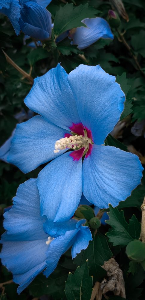 Photograph by Анастасия Семилетова