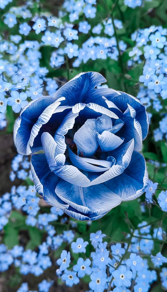 Photograph by Анастасия Семилетова