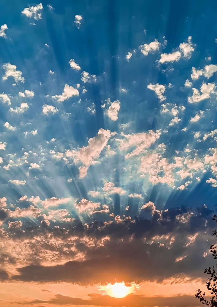 Photograph by Анастасия Семилетова