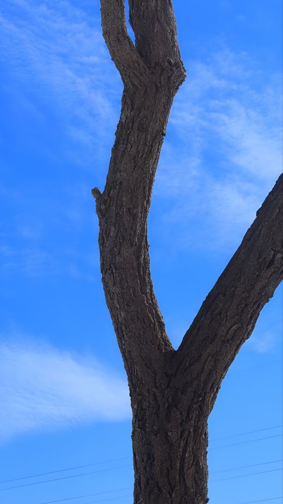 Photograph by Amir Hosein Shokrabadi