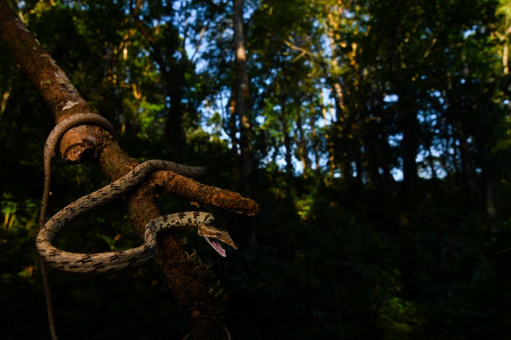 Photograph by Ajith Padiyar