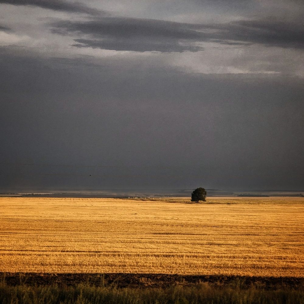 Photograph by AlexaL