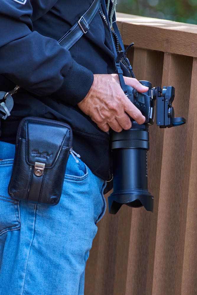 Photograph by Дмитрий Солодухин