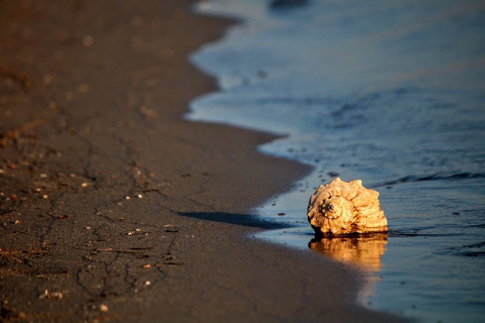 Photograph by volkan akan