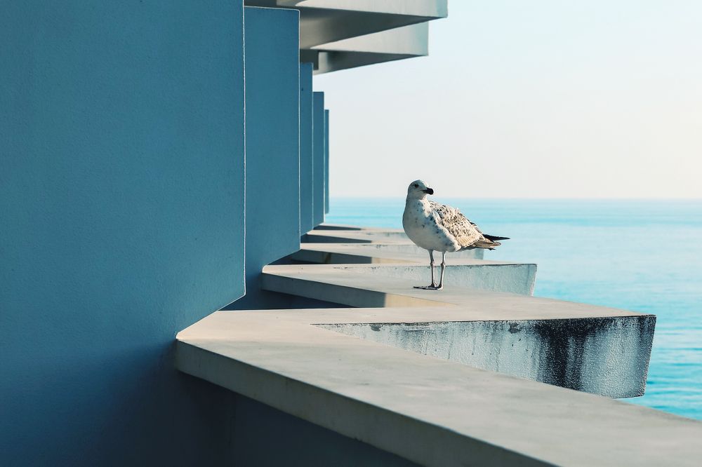 Photograph by Синицына Юлия