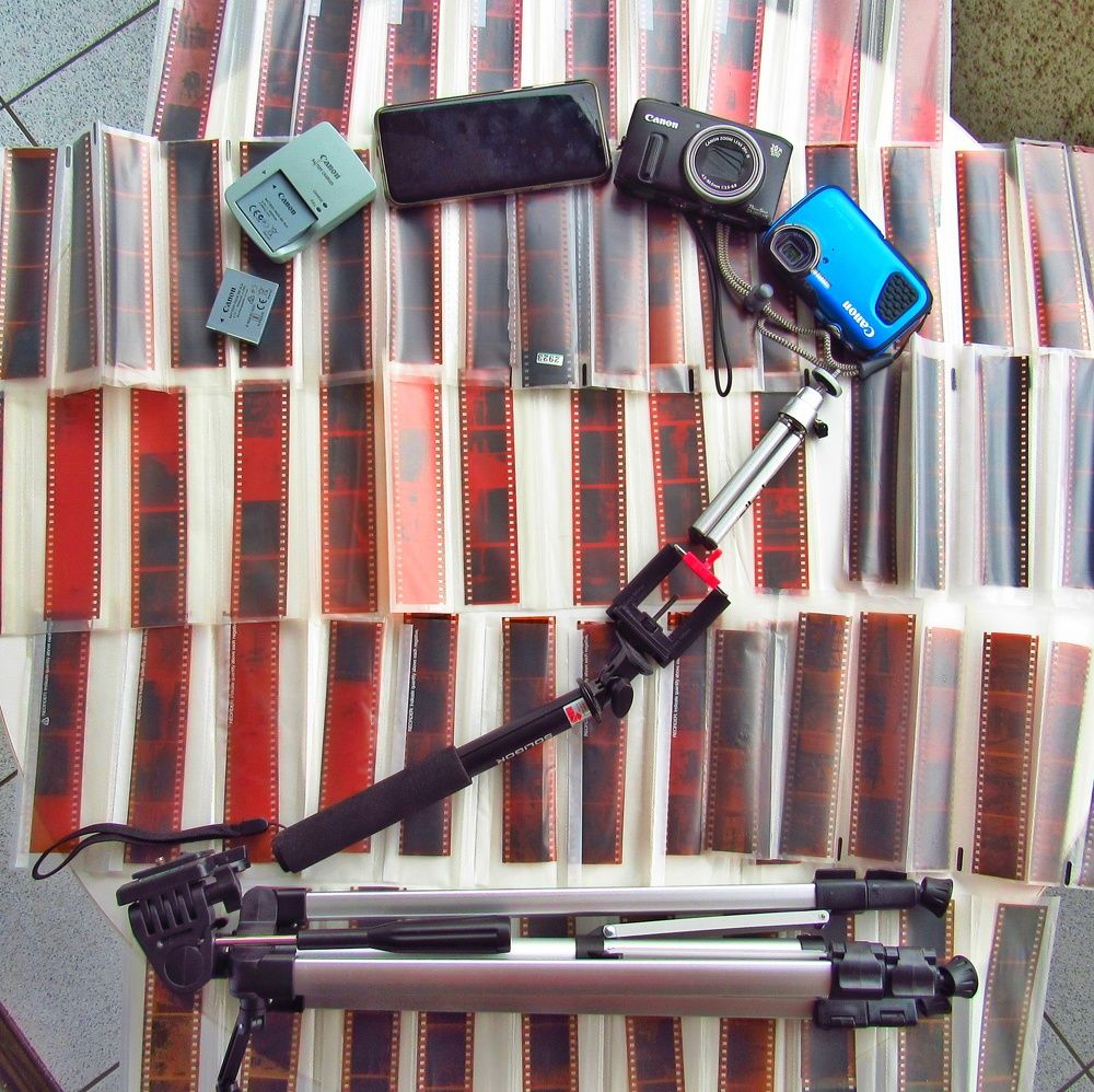 Фотография автора Paula Torrent