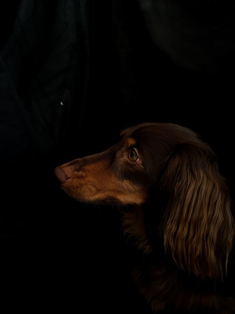 Фотография автора Ольга Шишук