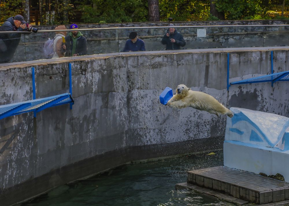 Photograph by Михаил Измайлов