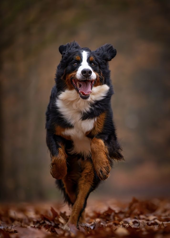 Photograph by Shanna van Mens